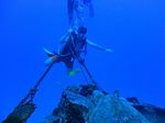 Hawaii Scuba divng 13