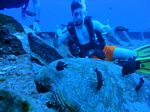 Hawaii Scuba divng 14