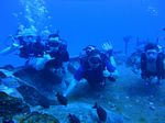 Hawaii Scuba divng 15