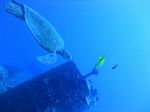 Hawaii Scuba divng 24