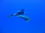 Hawaii Scuba divng 27