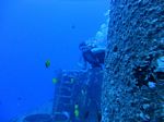 Hawaii Scuba divng 28