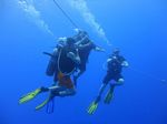 Hawaii Scuba divng 37