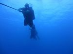 Hawaii Scuba divng 45