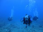 Hawaii Scuba divng 49