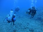 Hawaii Scuba divng 51