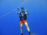 Hawaii Scuba divng 05