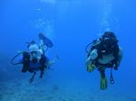 Hawaii Scuba divng 65