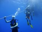 Hawaii Scuba divng 06