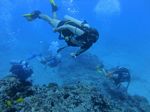 Hawaii Scuba divng 78