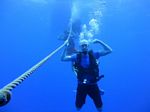 Hawaii Scuba divng 07