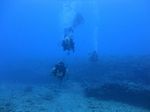 Hawaii Scuba divng 87