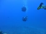 Hawaii Scuba divng 88