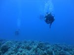 Hawaii Scuba divng 89