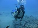 Hawaii Scuba divng 12