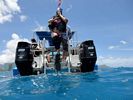 Hawaii Scuba divng 16