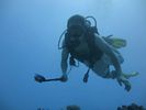 Hawaii Scuba divng 40