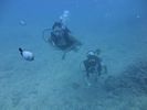 Hawaii Scuba divng 42