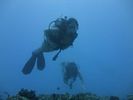 Hawaii Scuba divng 43