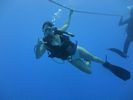 Hawaii Scuba divng 04