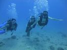 Hawaii Scuba divng 08