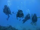 Hawaii Scuba divng 09