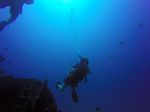 Hawaii Scuba divng 13