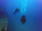 Hawaii Scuba divng 14