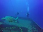 Hawaii Scuba divng 18