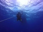 Hawaii Scuba divng 01