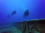 Hawaii Scuba divng 22