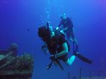 Hawaii Scuba divng 24