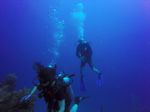 Hawaii Scuba divng 25