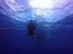 Hawaii Scuba divng 02