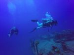 Hawaii Scuba divng 36