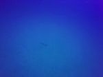Hawaii Scuba divng 37