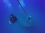 Hawaii Scuba divng 41