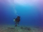 Hawaii Scuba divng 44