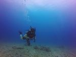 Hawaii Scuba divng 45