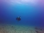 Hawaii Scuba divng 46