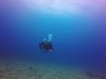 Hawaii Scuba divng 47