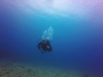 Hawaii Scuba divng 48