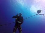 Hawaii Scuba divng 04