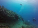 Hawaii Scuba divng 57