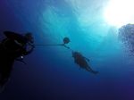 Hawaii Scuba divng 05