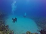 Hawaii Scuba divng 72