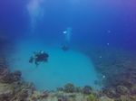 Hawaii Scuba divng 73