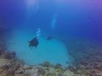 Hawaii Scuba divng 74