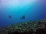Hawaii Scuba divng 77