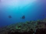 Hawaii Scuba divng 77